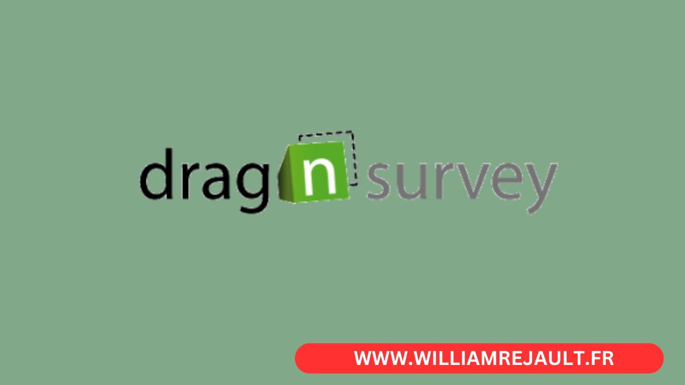 Drag'n Survey : Comment Réaliser un Questionnaire en Ligne Efficace