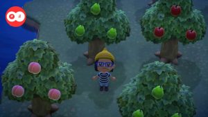 Comment Obtenir Tous les Fruits dans Animal Crossing : New Horizons - Guide Complet