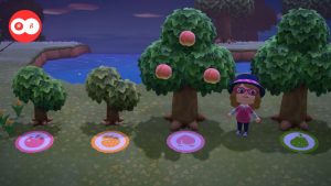 Animal Crossing New Horizon : Liste des Fruits et Comment les Obtenir