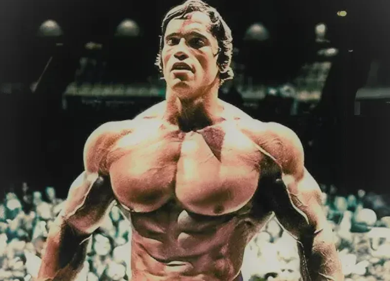 Taille Arnold Schwarzenegger