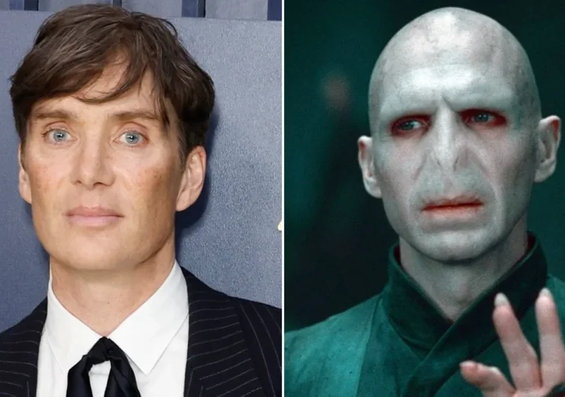 Qui a joué Voldemort ?