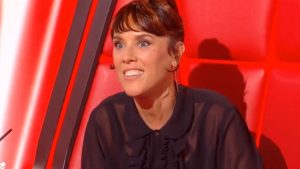 Qui est le Compagnon de Zaz ?